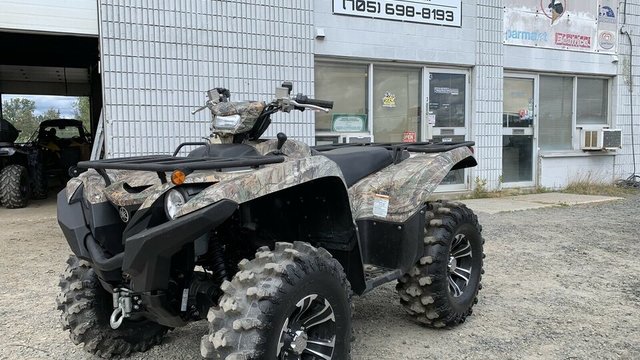 18 Grizzly
