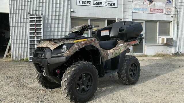 19 brute